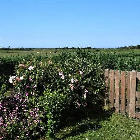 Wadden Eiland Op Texel *