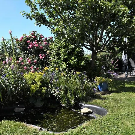 Bed & Breakfast Wadden
